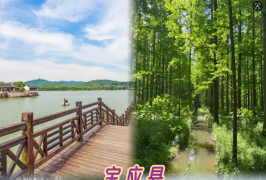 宝应旅游攻略|小众宝藏地超详细玩法